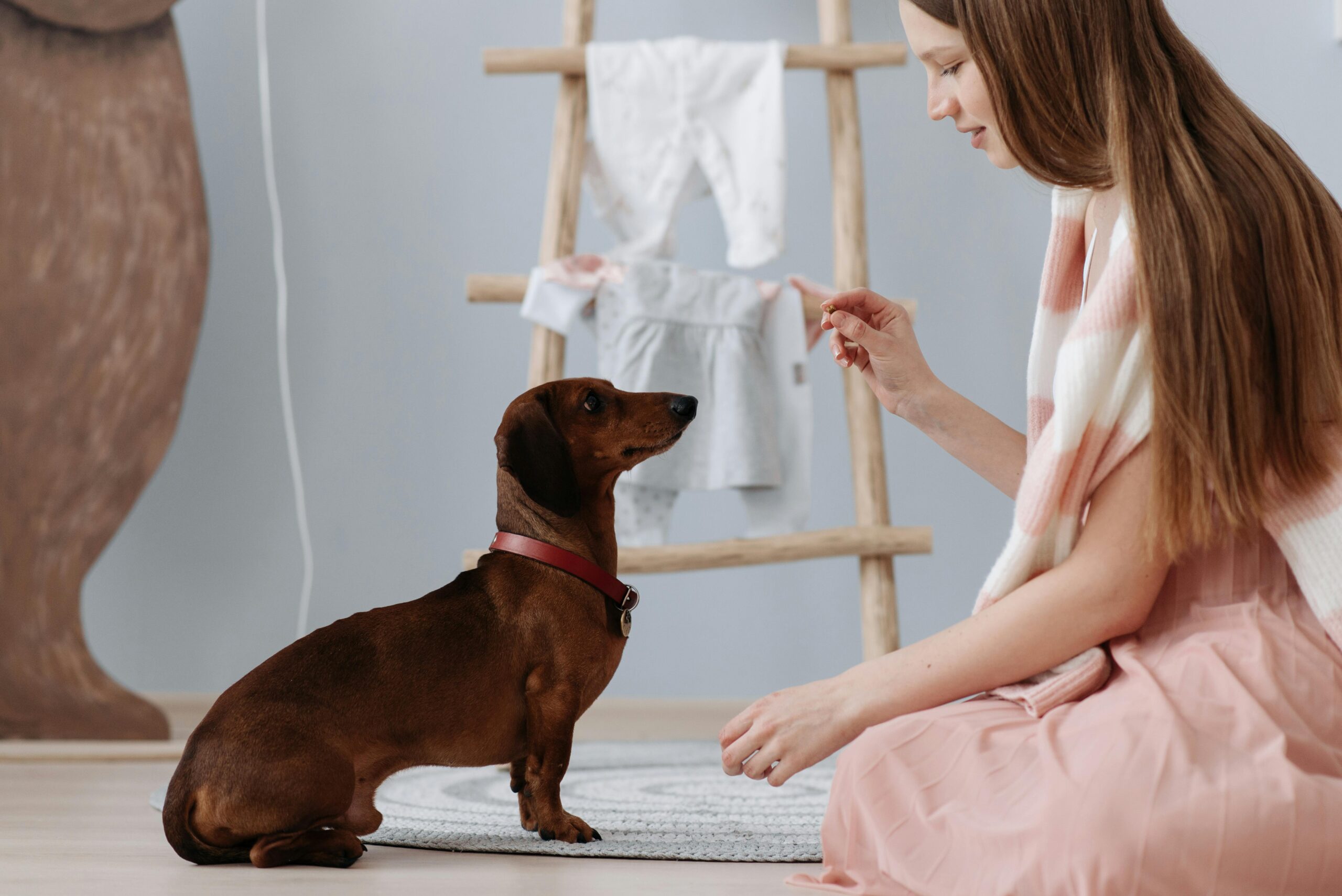Obedience Training: A Powerful Lifelong Journey