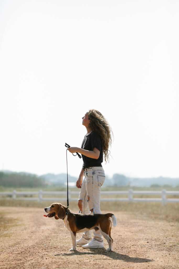 Leash Reactivity: Powerful Causes, Fixes, & Myths Explained