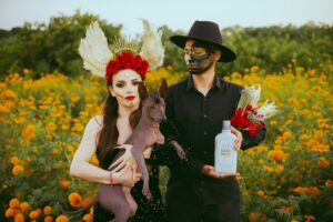 Spooky Halloween with Dogs: Fun Costumes, Candy, and Chaos