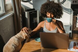 How to Introduce a New Dog and Avoid the Chaos