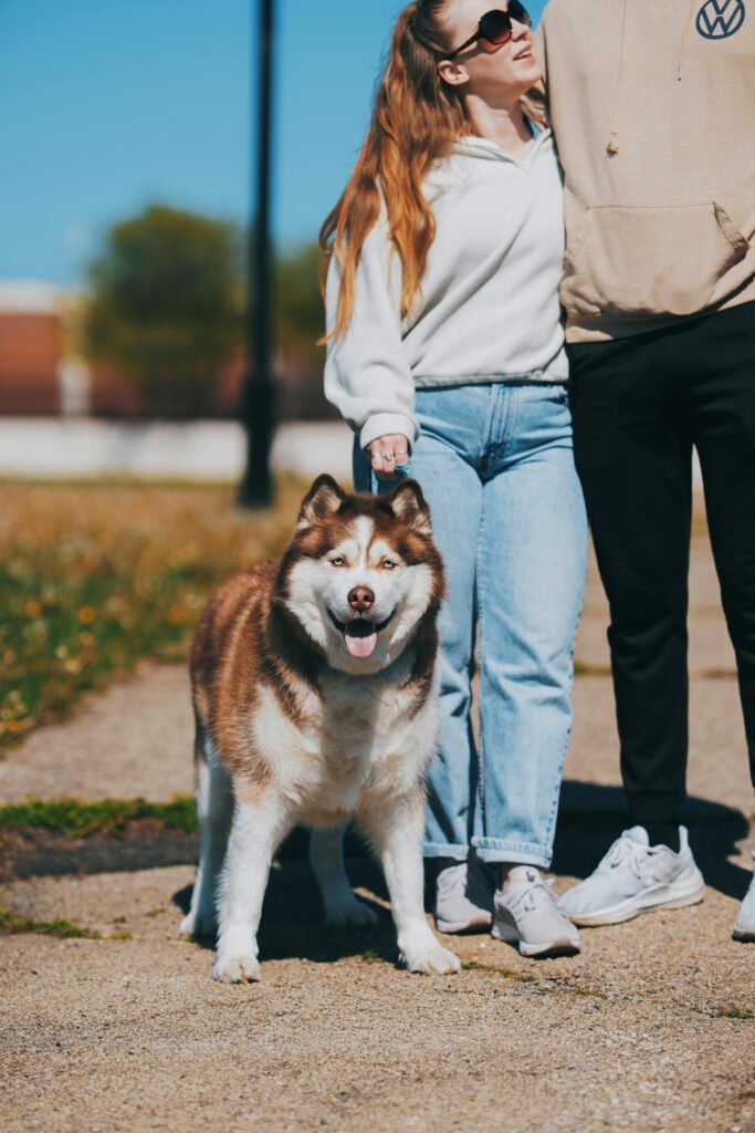 The Gift of Training: Why Obedience Makes the Perfect Present